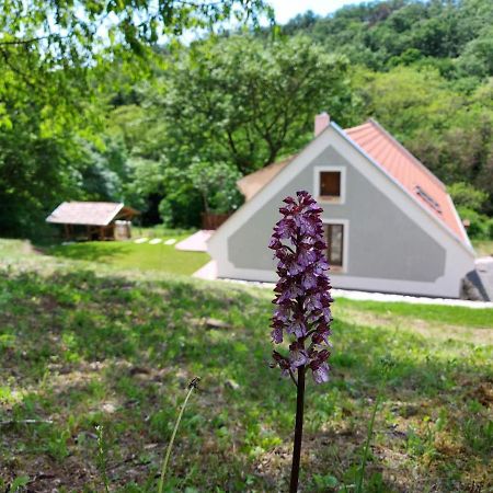 Kosbor Vendégház Monoszlo Exterior foto