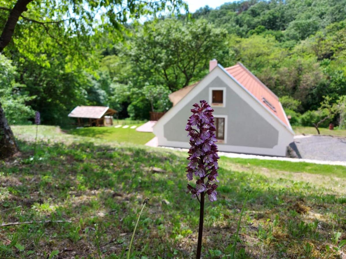 Kosbor Vendégház Monoszlo Exterior foto